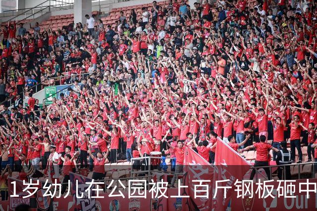1岁幼儿在公园被上百斤钢板砸中身亡，钢板没固定但父亲曾起跳碰到，谁该为此事担责？仅赔偿30万合理吗？