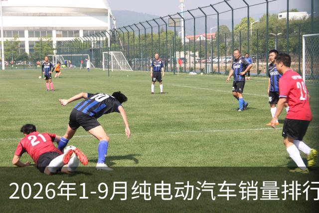 2026年1-9月纯电动汽车销量排行榜