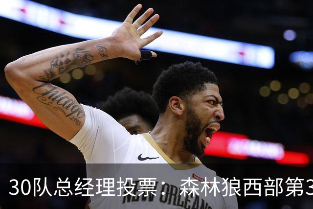 30队总经理投票：森林狼西部第3，却又被选为最难预测